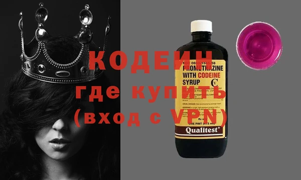 индика Аркадак
