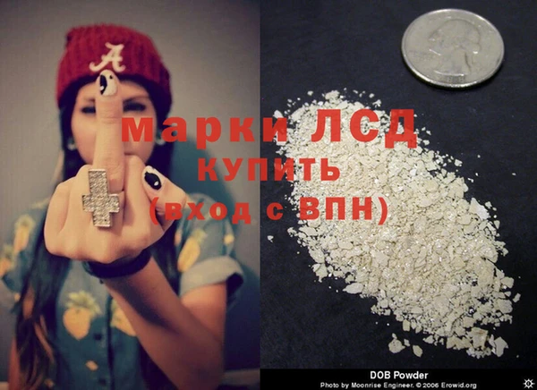 индика Аркадак