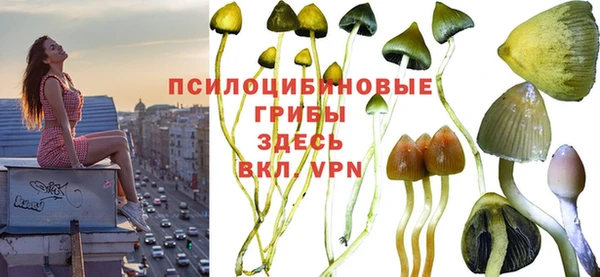 меф Арсеньев