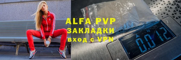 индика Аркадак